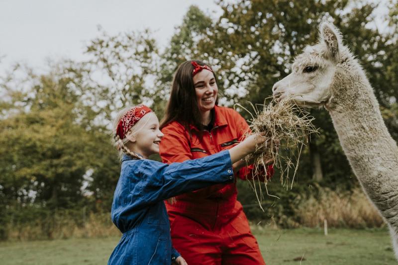 Alpaca voeren vakantiepark Dierenbos